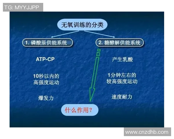 深圳羽毛球队整体压制战术解析与实战应用探讨 深圳羽毛球队整体压制战术解析与实战应用探讨
